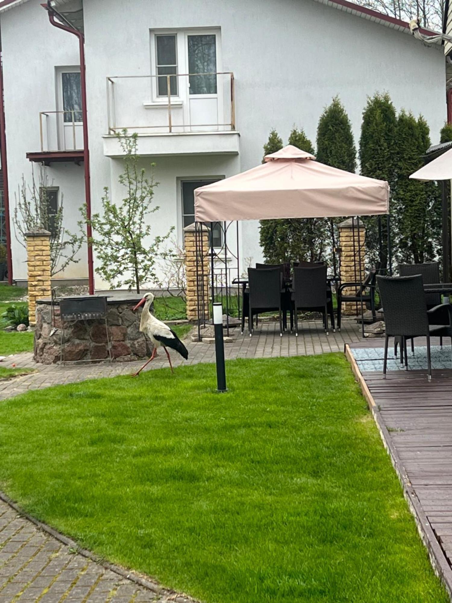 Vila Laurus Palanga Buitenkant foto